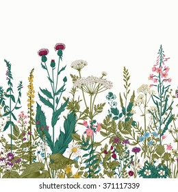 Vector Seamless Floral Border. Herbs And Wild Flowers. Botanical Illustration Engraving Style. Colorful