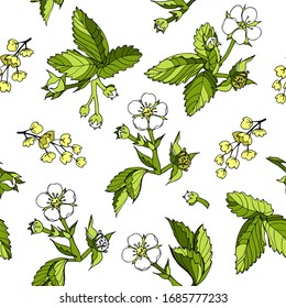 Dibujo de dibujos animados florales sin fisuras, flores esquemáticas y hojas de fresa silvestre, inflamación de la barbera sobre un fondo blanco dibujado a mano para papel textil, papel pintado