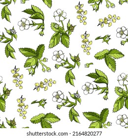 Vector seamless floral cartoon pattern, outline flowers and leaves of wild strawberry, barberry inflorescence on a white background hand-drawn for textile, wrapping paper wallpaper