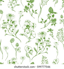 Vector seamless floral pattern with aroma and medical green herbs on white. Hand drawn botanical illustration for fabric, wrapping, prints and other herbal design. Background with wild meadow herbs.