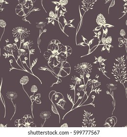 Vector seamless floral pattern with aroma and medical herbs. Hand drawn botanical illustration for fabric, wrapping, prints and other herbal design. Brown background with wild meadow herbs.