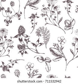 Vector seamless floral pattern with aroma and medical herbs on white. Hand drawn botanical illustration for fabric, wrapping, prints and other herbal design. Background with wild meadow herbs.