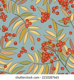 Vector seamless floral pattern with ashberry plants and foliage on blue background. Autumnal concept.