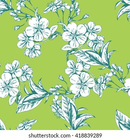 Vector seamless floral pattern with blooming Cherry branch on green. Hand drawn herbal sketch for print, fabric, wrapping and other seamless design.