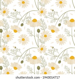 Vector seamless floral pattern with chamomile flowers.