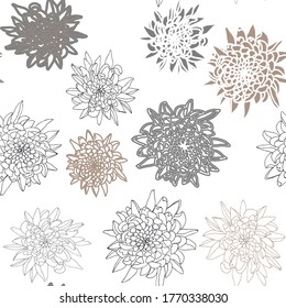 Vector seamless floral pattern with chrysanthemums. Hand drawn flowers background.