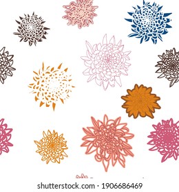 Vector seamless floral pattern with chrysanthemums. Hand drawn flowers background.