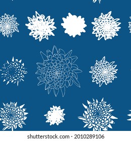 Vector seamless floral pattern with chrysanthemums. Hand drawn flowers background.