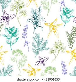 Vector seamless floral pattern with colored herbs and spices on white. Hand drawn illustration for fabric, wrapping, prints and other herbal design in vintage style.