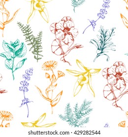 Vector seamless floral pattern with colored herbs and spices on white. Hand drawn herbal medicine illustration for fabric, prints and other herbal design in vintage style. Botanical herbal background.