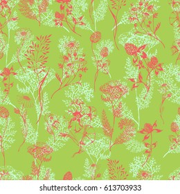 Vector seamless floral pattern with colored aroma and medical green herbs . Ink drawn botanical illustration for fabric, wrapping, prints. Background with wild meadow herbs and flowers