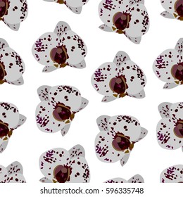 Vector seamless floral pattern. Exotic orchids. Amazing vector editable elements for design, fashion, stationery.