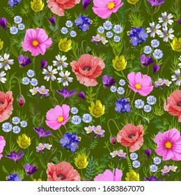 Vector seamless floral pattern with field flowers