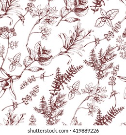 Vector seamless floral pattern with herbs and spices on white. Hand drawn illustration for fabric, wrapping, prints and other herbal design in vintage style.