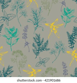 Vector seamless floral pattern with herbs and spices. Hand drawn illustration for fabric, wrapping, prints and other herbal design in vintage style.