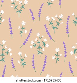 Vector seamless floral pattern from lavender and chicory. Cute simple design for wallpaper, fabric, textile, wrapping paper