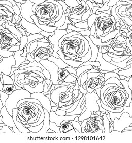 Vector seamless floral pattern. Line art roses background