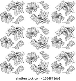 Vector seamless floral pattern. Lineart