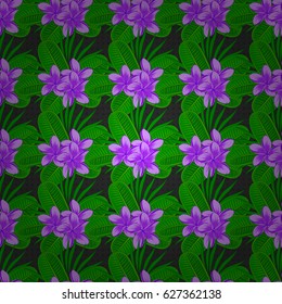 Vector seamless floral pattern with plumeria flowers, leaves, decorative elements, splash, blots and drop on a gray background. Doodle sketch style, hand-drawn illustration.
