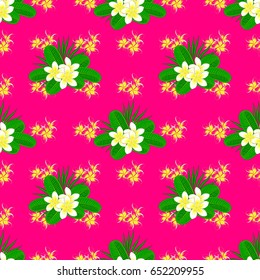 Vector seamless floral pattern with plumeria flowers and leaves on a magenta background.