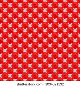 Vector seamless floral pattern with poppy flowers and leaves in red and gray colors.