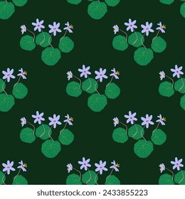 Vector seamless floral pattern. Primroses on a dark green background.