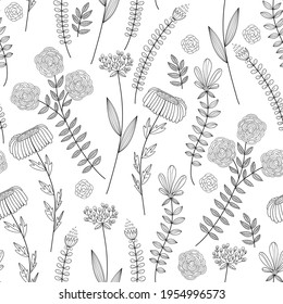 Vector Seamless Floral Pattern. Seamless Spring Colouring Page