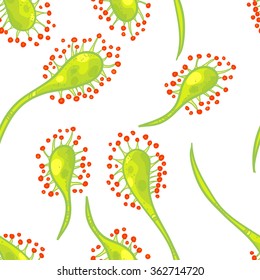 Vector seamless floral pattern with sundew. Doodle and bright sundew pattern, green and red, on white background.