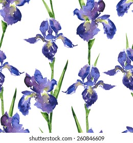 vector seamless floral pattern with watercolor irises