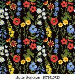 Vector seamless floral pattern. Wildflowers
