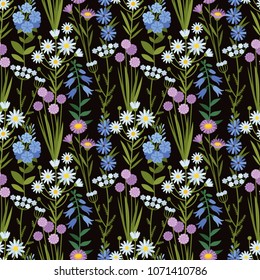 Vector seamless floral pattern. Wildflowers
