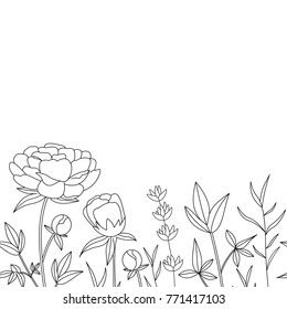 Vector seamless flowers and herbs border; summer garden or meadow silhouettes.