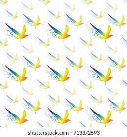 Vector seamless flying seagull birds colorful on white background