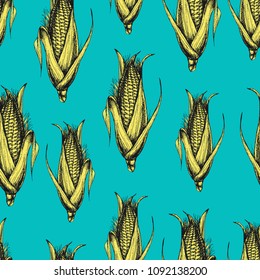 Vector seamless food pattern with corn on blue. Hand drawn illustration with healthy vegetables for print, wrapping, paper, fabric and other seamless design in sketch style. Ink drawn engraving.