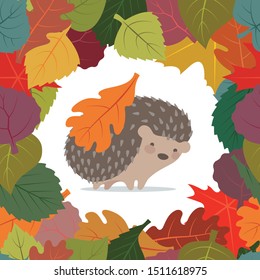 Vector seamless frame from colorful autumn leaves.  Hedgehog on a white background with leaves on the back