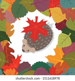 Vector seamless frame from colorful autumn leaves. Hedgehog on a white background with leaves on the back