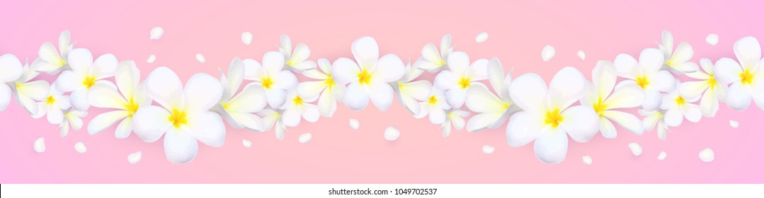 Vector seamless frangipani flowers horizontal border with flying petals on pink background