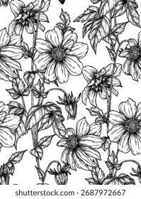 Patrón de Vector sin fisuras con dalias en estilo de grabado. Fondo de floración de otoño