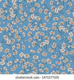 Vector seamless graphical botanical daisy flower pattern. Floral background design. Gentle pretty romantic pattern with chamomile. 