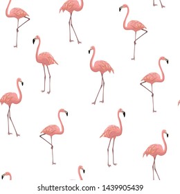 vector seamless graphical realistic flamingo bird pattern. Vertical orientation. Pink exotic birds.