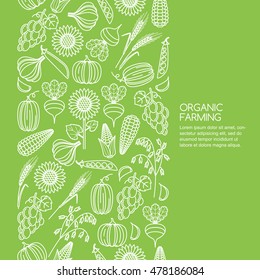 Vector Seamless Green Background With Vegetables And Cereal Grains Icons. Autumn Harvest Line Illustration. Design Elements For Agriculture, Harvesting, Gardens, Farm And Farming Organic Products.