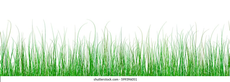 vector seamless green grass gradient pattern texture isolated on white background. abstract herbal illustration