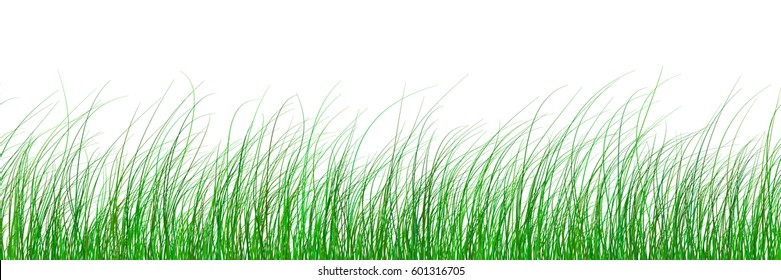 vector seamless green grass gradient pattern texture isolated on white background. abstract herbal illustration