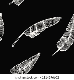 Vector seamless of hand drawn banana leaves. Vintage background with ink hand drawn leafs for invitations and gift cards.