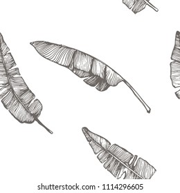 Vector seamless of hand drawn banana leaves. Vintage background with ink hand drawn leafs for invitations and gift cards.