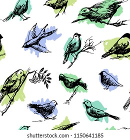 Vector seamless hand drawn pattern with swallow, pigeon, robin in blue-green tones on white background. Pattern with decorative sketch birds. 