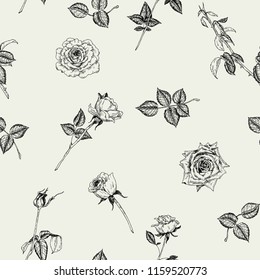 Vector seamless hand drawn pattern with roses in vintage graphic style. Gentle decoration pattern for paper, textile, handmade, wrapping decoration, scrap-booking, polygraphy, t-shirt, cards.