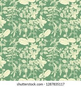Vector seamless healthy herbs green pattern with silhouette of plants. Ink drawn botanical engraved illustration in vintage style for print, wrapping, paper, textile and other natural seamless design.