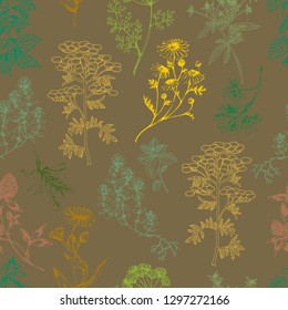 Vector seamless healthy herbs pattern on brown. Ink drawn botanical engraved illustration in vintage style for print, wrapping, paper, textile and other natural seamless design. Natural background.