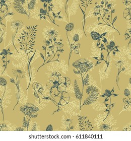 Vector seamless herbal pattern with aroma and medical green herbs on beige. Ink drawn botanical illustration for fabric, wrapping, prints and other herbal design. Background with wild meadow herbs.